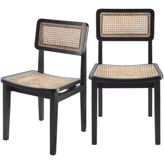 Arxan Dining Chair- Set of Two