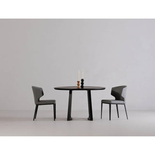 Delaney Dining Chair- Set of Two