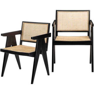 Hague Dining Chair- Set of Two  HAG-003