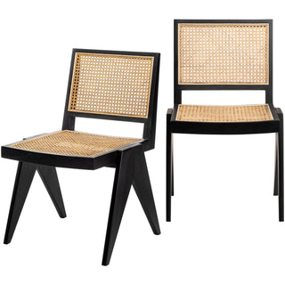 Hague Dining Chair- Set of Two HAG-005