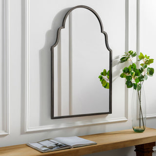 Vassar Accent Mirror