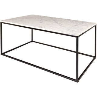 Aryaa Coffee Table