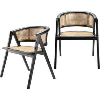 Yulin Dining Chair- Set of Two